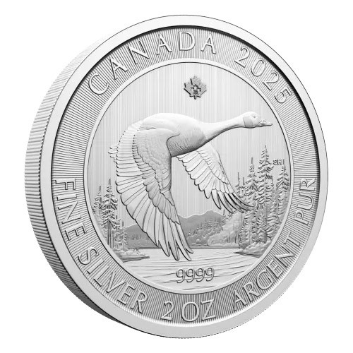 2025 Silver 2oz Canada Goose Coin