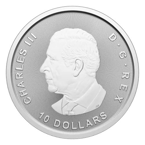 2025 Silver 2oz Canada Goose Coin