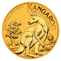 2023 1/10oz Gold Kangaroo Coin | Perth Mint