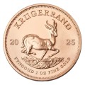 2025 1oz Gold Krugerrand | South African Mint